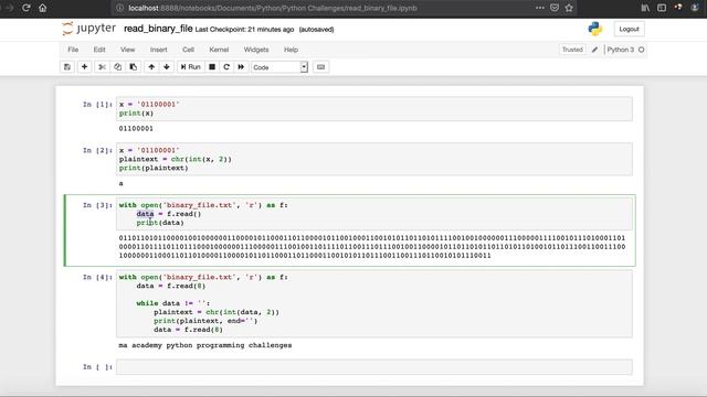 Read Binary File - Python Programming Challenges