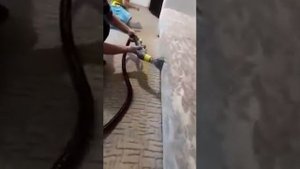 Чистим с ЭКСТРАКТОРОМ мебель мягкую и ковролин