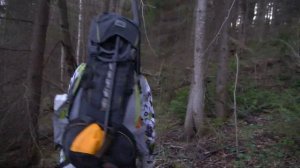 Отправились в жуткий поход, чтобы найти тропу лешего!