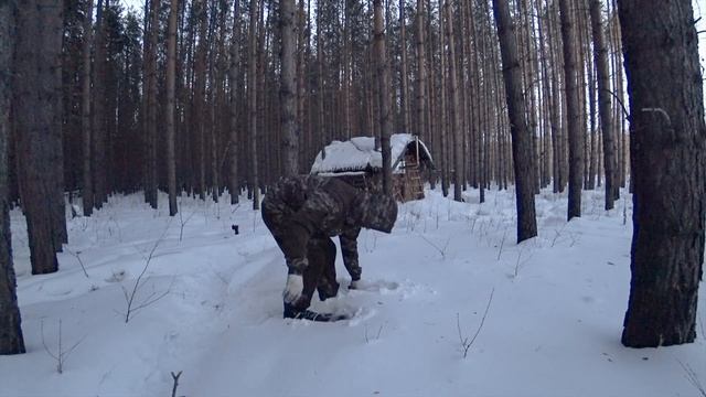 48 ЧАСОВ В ЛЕСУ. УШЕЛ ЖИТЬ В ХИЖИНУ. ЗАПЕКАЮ МЯСО. ДВА ДНЯ В ЛЕСУ. RUSSIAN BUSHCRAFT. ЧАСТЬ 1.