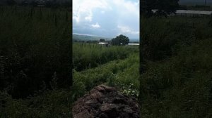 турецкая косилка metkarsan 165