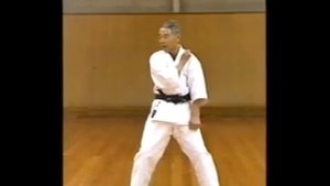 Вадо-рю каратэ.Wado ryu Karate.Базовые блоки.
