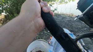 თევზაობა alazanze 24.07.2022 Рыбалка в грузии на алазани, tevzaoba alazanze