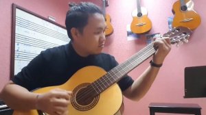 HORA N1010 Spanish / Classical Guitar SOLID BODY!!!