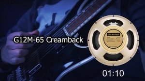 13 Celestion speakers in 150 seconds (high gain/metal)