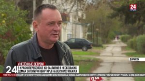 На выходных в Крыму сильный ветер повалил деревья и столбы