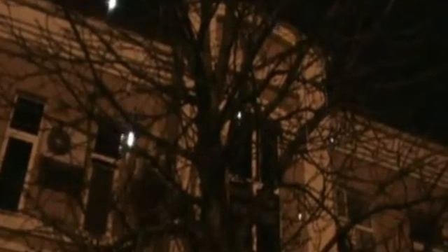 ФАНТАЗИЯ гирлянда