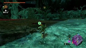 Zelda: Tears of the Kingdom Как попасть в лес короков