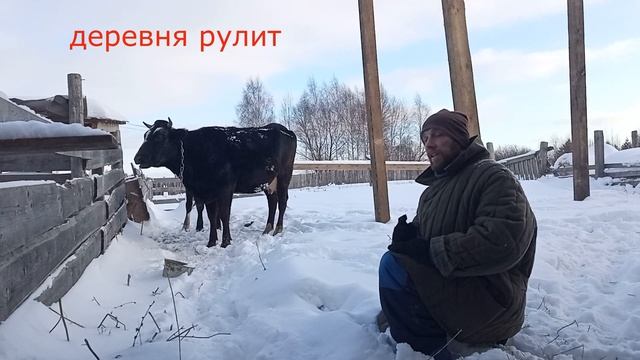 Семья в деревне//Как они это пережили??????????????