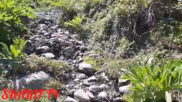 Чашмахои Точикистон. Родники Таджикистана. Springs Of Tajikistan