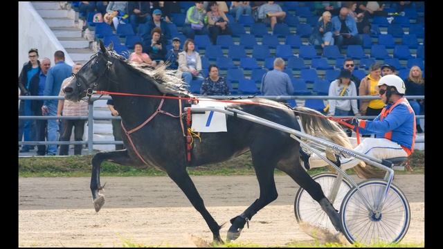 Фестиваль орловского рысака "ОРЛОВСКИЙ ФАВОРИТ"-2022 смотреть онлайн