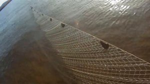 Рыбалка в Чёмпэкээне на нельму (СО ЗВУКОМ!!!!)