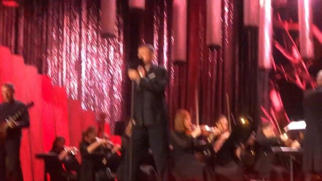 Алексей Петрухин/Кони привередливые/Романтика Романса/10.02.24