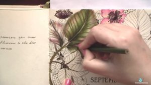 Раскрашиваю листья для сентябрьской страницы / Раскраска-антистресс "Flower year"