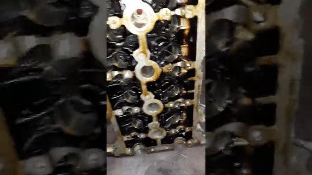 Kia Rio горит датчик давления масла причина смотреть онлайн