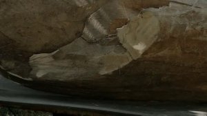 Шлифовальный круг для обработки древесины,резина и т.д.