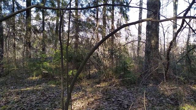 The sound of a passing train from afar 100m | Звук проезжающего поезда издалека 100м смотреть онлайн