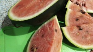 Арбуз "Черный принц" для хранения.???