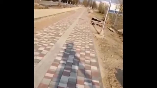 Латвия, Елгава | Latvia, Jelgava. Взгляд Ларисы | View from Larisa's place смотреть онлайн