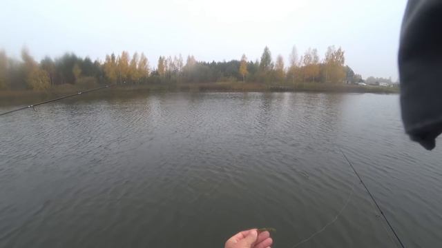 ОСЕННЯЯ РЫБАЛКА. ЩУКА И ОКУНЬ НА СПИННИНГ смотреть онлайн
