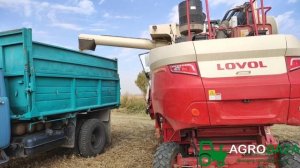 Комбайн Lovol GM80 сбор Сои и Кукурузы