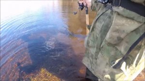 Большая вода 2022