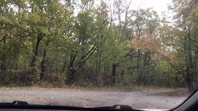 Кривоборье осенью. Воронежская область.