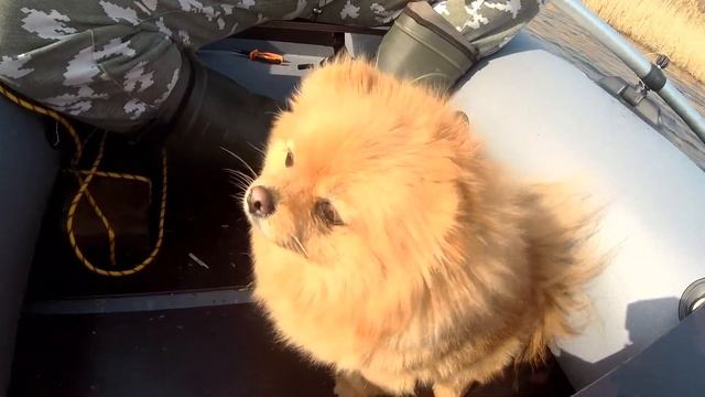 Рыбалка и отдых в Липецкой обл - часть 2 смотреть онлайн