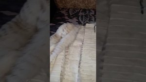 Часть 1. Меховой жакет. Пошив изначально в домашних условиях из старой шубки.