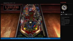 The Pinball Wizard does some maintenance - The Pinball Arcade