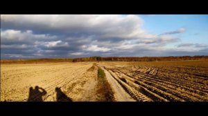 ✔️Дима Вознюк - Беспечный ангел (Ария-кавер)