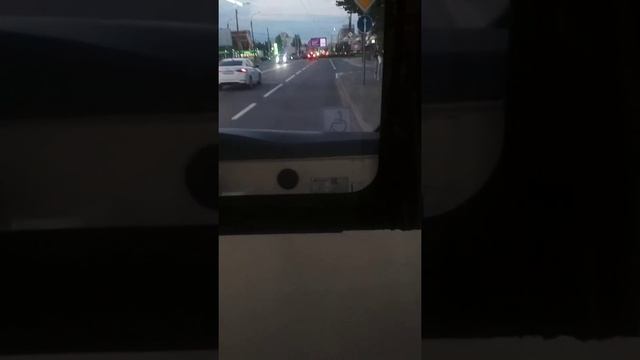 Санкт-петербург автобус номер 178 Пискарёвский проспект культура