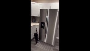 Подборка иностранных мемов --- ENG memeS#14