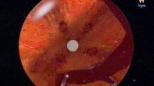 astral projection - people can fly