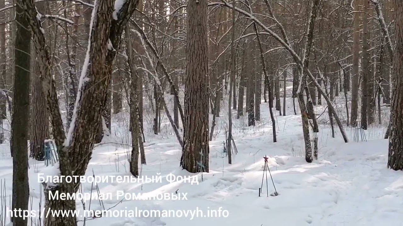 Первый этап топосъемки забытого воинского кладбища на ,  22 февраля 2023 года