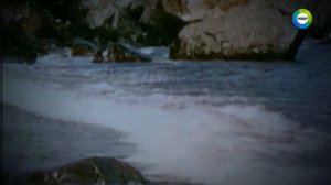 Таинственные обитатели океана (Земля. Территория загадок)