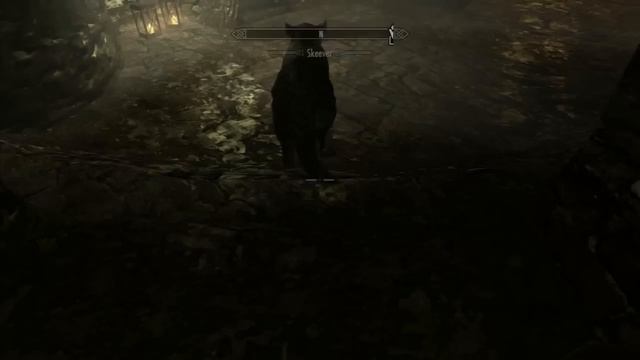 Skyrim Hardcore: Assassin E011 - The Sewers! смотреть онлайн