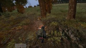 Как готовить мясо и разводить костер в DayZ Standalone