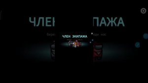 как зделать обычный чат в Амонг АС