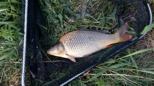 Болею рыбалкой, лечиться не буду! смотреть онлайн