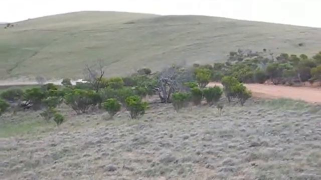 Rob Burrows - Subaru RX Turbo - Henry Lawson Rally 2008 смотреть онлайн