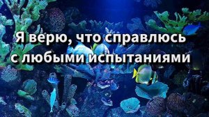 Аффирмации для хороших оценок в школе/Для успешной сдачи экзамена ЕГЭ ОГЭ