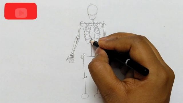 human skeleton diagram / how to draw human skeleton drawing easy смотреть онлайн