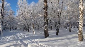 картины зимней природы урала