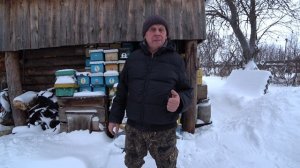 ВРЕД ИЛИ ПОЛЬЗА НАШИМ ПЧЁЛАМ, ЗИМОВКА С ВЫСОКИМ СОДЕРЖАНИЕМ УГЛЕКИСЛОГО ГАЗА.mp4