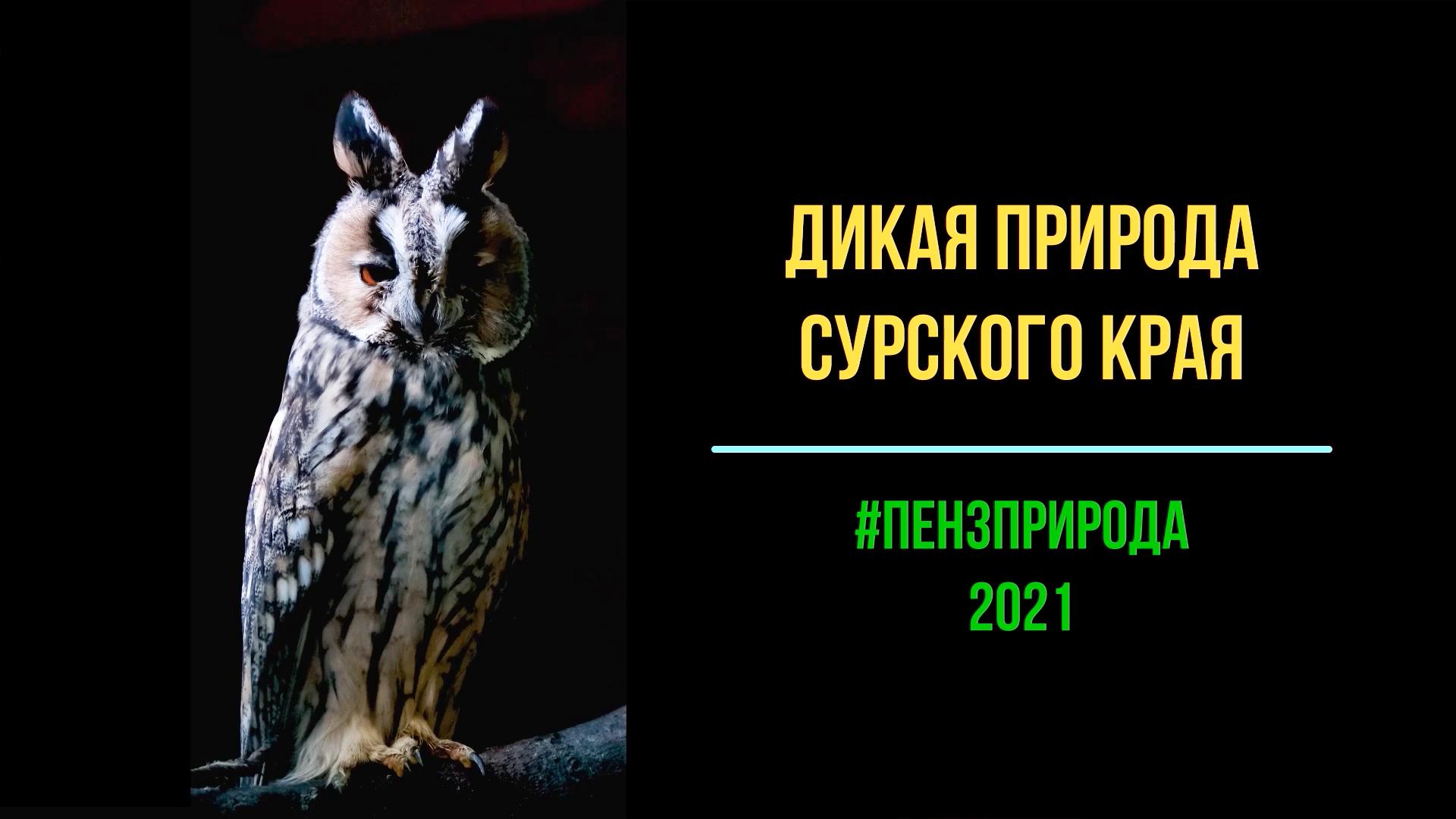 2019-2021 Первозданная природа Сурского края