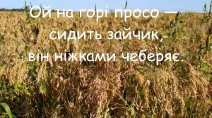 "Ой на горі жито" плюс зі словами