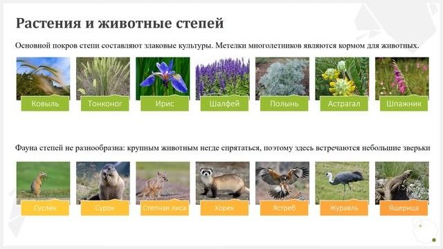 Степи России