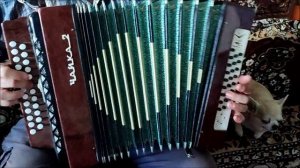 Трансвааль, трансвааль