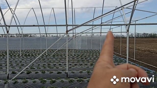 27 октября 2022 г. смотреть онлайн